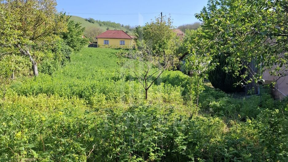 Casă cu două corpuri de clădire și teren generos – sat Boarta, județul Sibiu - Poză 14