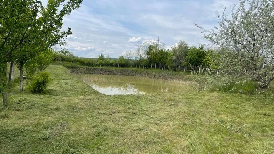 HALA spălatorie auto + teren 5700 mp, str. Călugăreni; - Poză 6