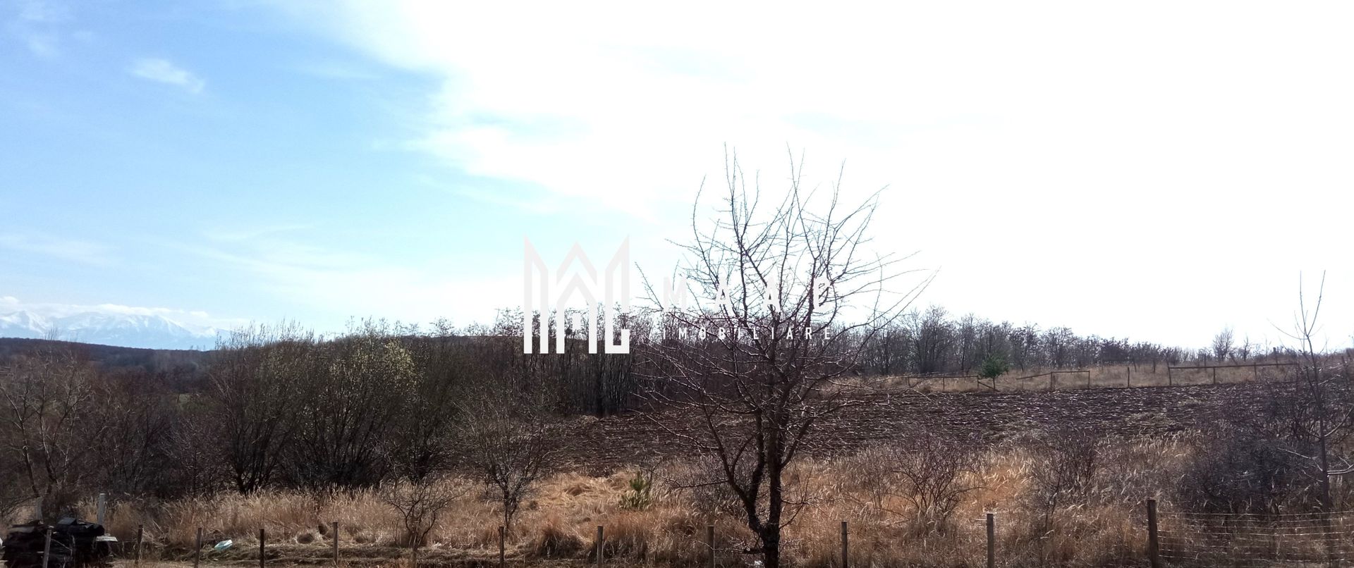 Teren intravilan | 933 mp | Cabana de lemn | Sura Mare - Poză 4