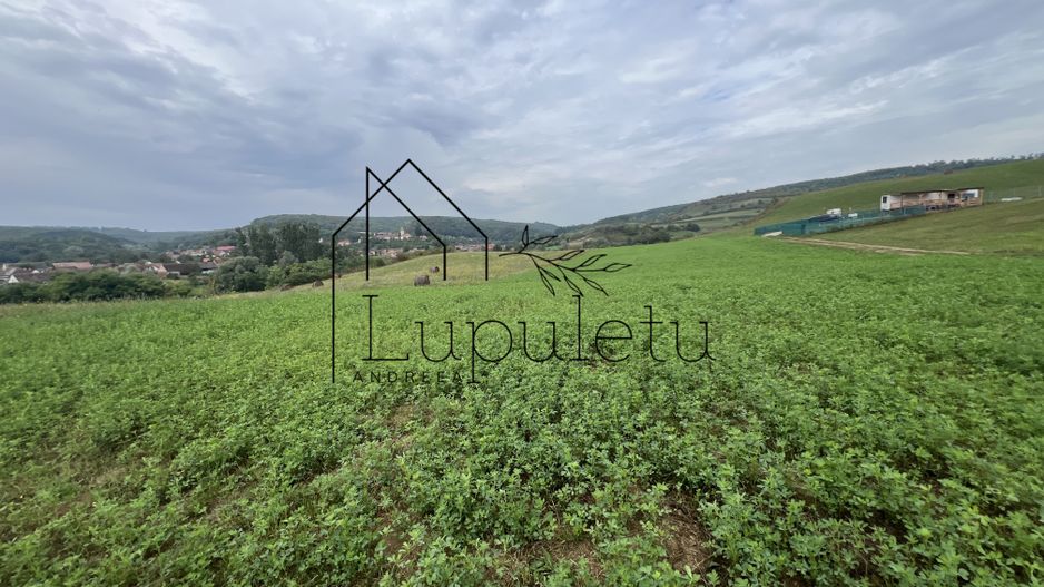 Teren | 1.500 MPU | Bradu - Poză 3