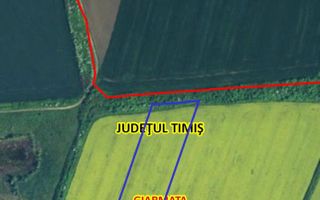 Teren arabil 20550 mp in Giarmata aproape autostrada A1 - Poză 3
