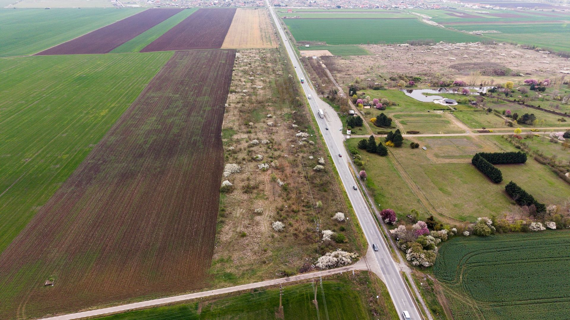 Teren de 41800 mp ieșire Vladimirescu - Poză 2