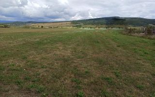 Teren intravilan 5217 mp cu utilitati-ideal case-Livezile - Poză 3