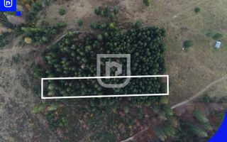 Teren situat in Frasin | BUCOVINA - Poză 3