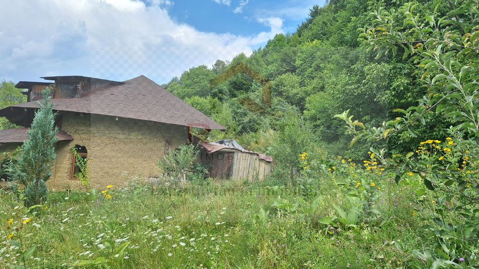 VANZARE ANSAMBLU CASUTE BRADULET ARGES - Poză 13