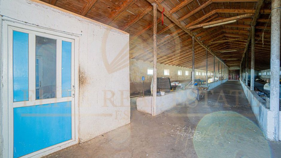 Tariverde - Ferma zootehnica functionala, 3 hectare teren intravilan! - Poză 17