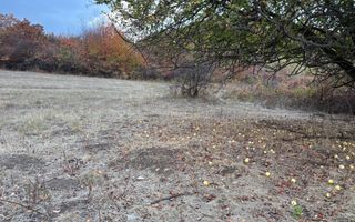 Teren de vânzare 5.000 mp | Poplaca | lângă pădure - Poză 1