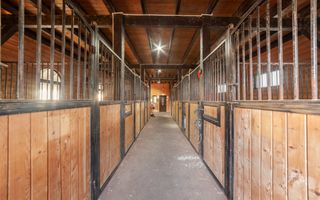 Inchiriere - Centrul de Echitatie Andaluz - Ciocanai, Jud. Arges! - Poză 2