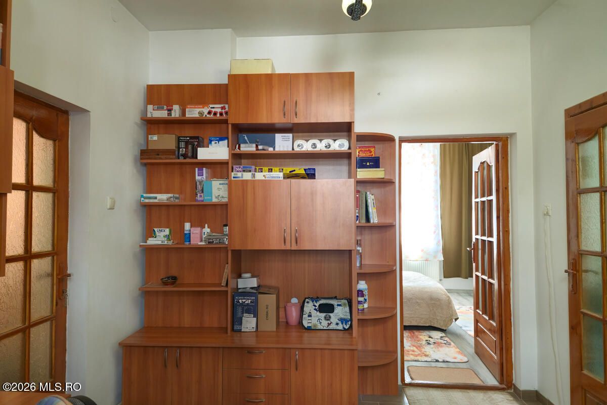 Lunei - Ion Neculce, 2 Apartamente. Mansarda 157 mp. Anexe, Lot 475 mp - Poză 32