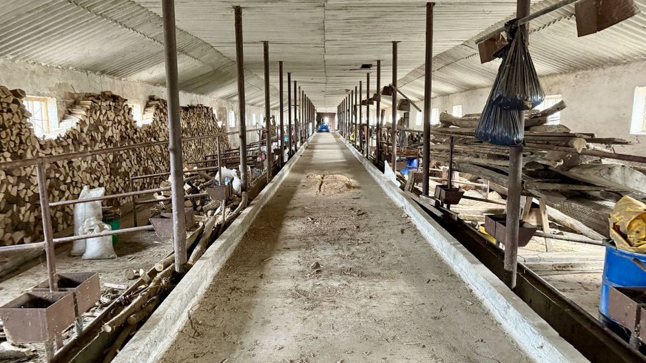 Pret redus Teren generos cu grajd nou in Varsand - Poză 2