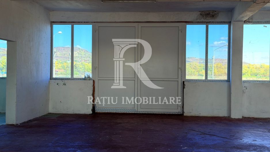 Spațiu comercial 530 mp | Depozitare și producție | Acces TIR - Poză 11