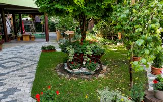 Vilă cu 7 dormitoare Centru, Arad - Poză 6