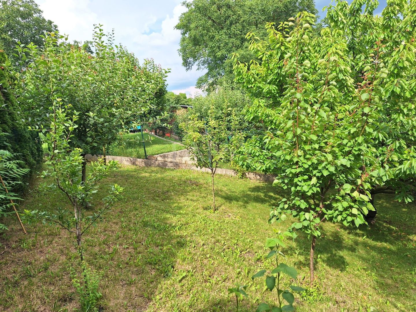 Vila deosebita de vanzare in cartierul Andrei Muresanu - Poză 26