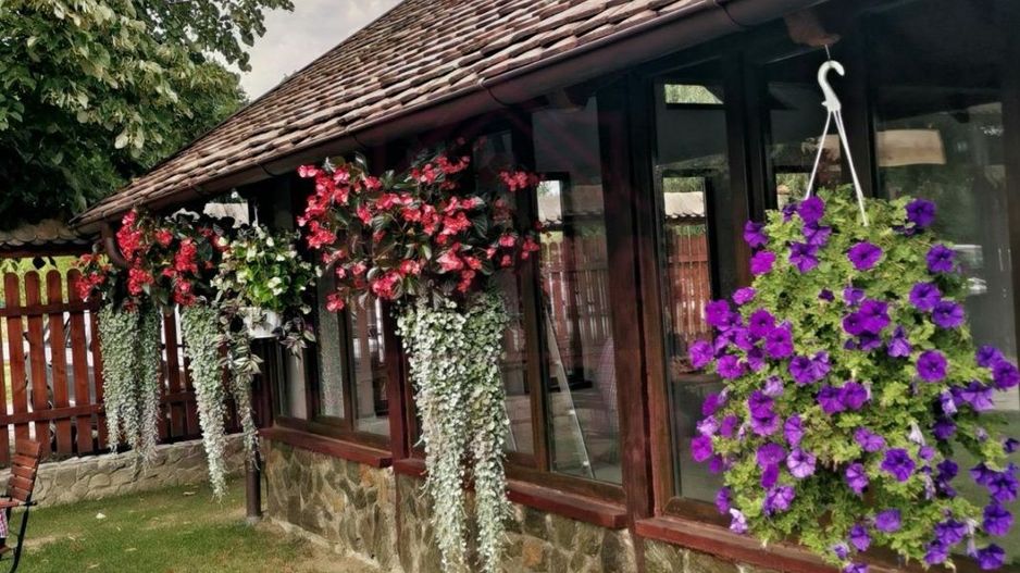 CASĂ\VILĂ DE VÂNZARE \COM. OBREJA\SAT IAZ\CARAȘ-SEVERIN - Poză 4