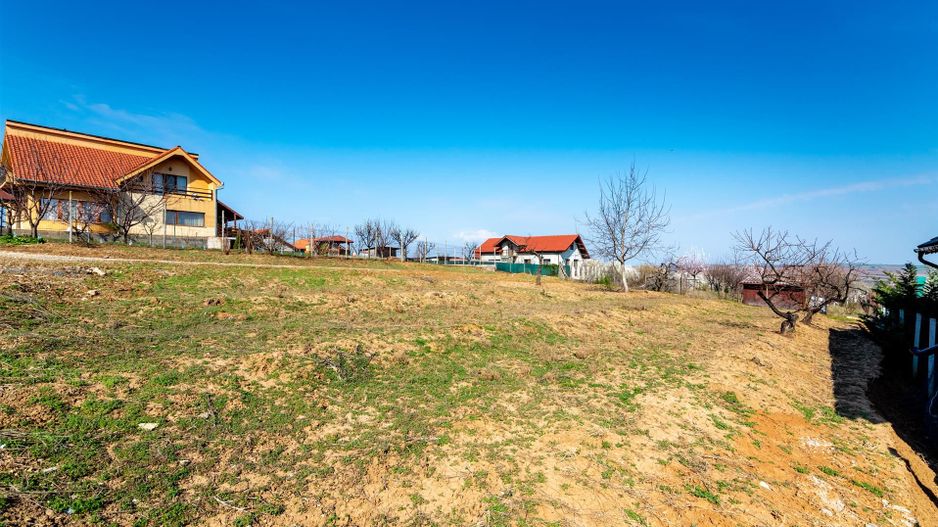 Teren intravilan Paleu - Poză 1