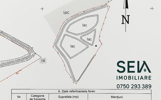 Iaz Piscicol Bacau Saucesti - Poză 7
