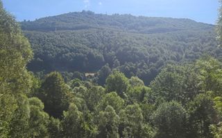 Teren Valea Doftanei,  zona Pe Vale - Baraj Paltinu - Poză 6