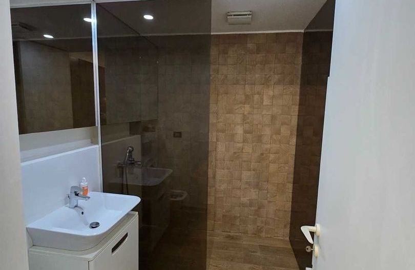 Aviatiei Herastrau Cortina North - Poză 3