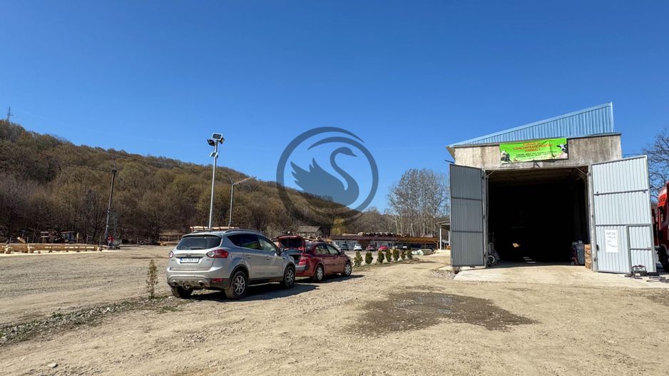Teren 31.000 MP + Constructie 800 MP de vanzare | Valenii de Munte - Poză 10