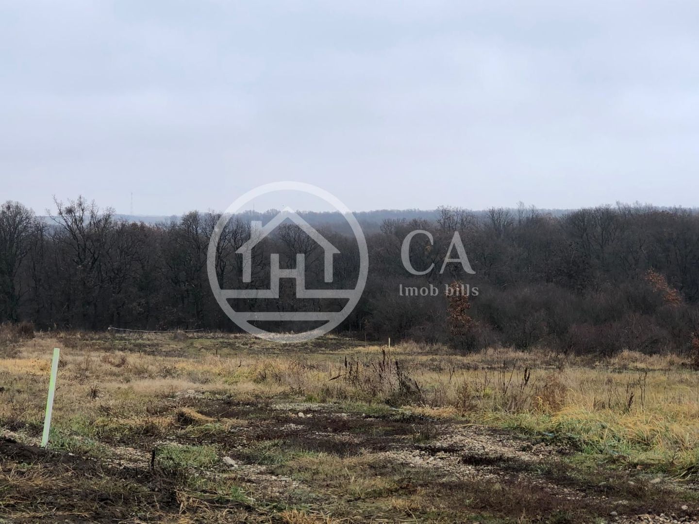 Teren intravilan de vânzare pe strada Izvorului, zona Saldabagiu - Poză 2