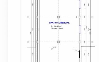 Spatiu Comercial | 170 MPU | Corneliu Coposu - Poză 2