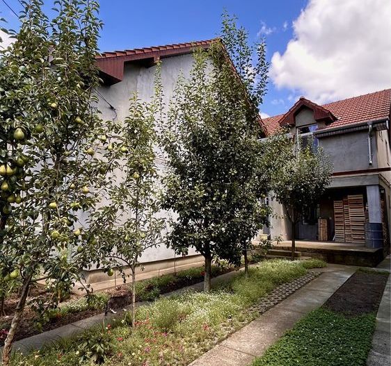 BRASADAS vinde casă cu etaj 8 cam 8 ari zona BOTIZULUI. - Poză 3