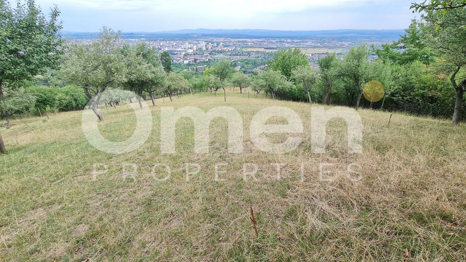 Teren de vânzare | Suprafață 10.040 mp | 2.500 € / ar | Strada Nucului - Poză 1