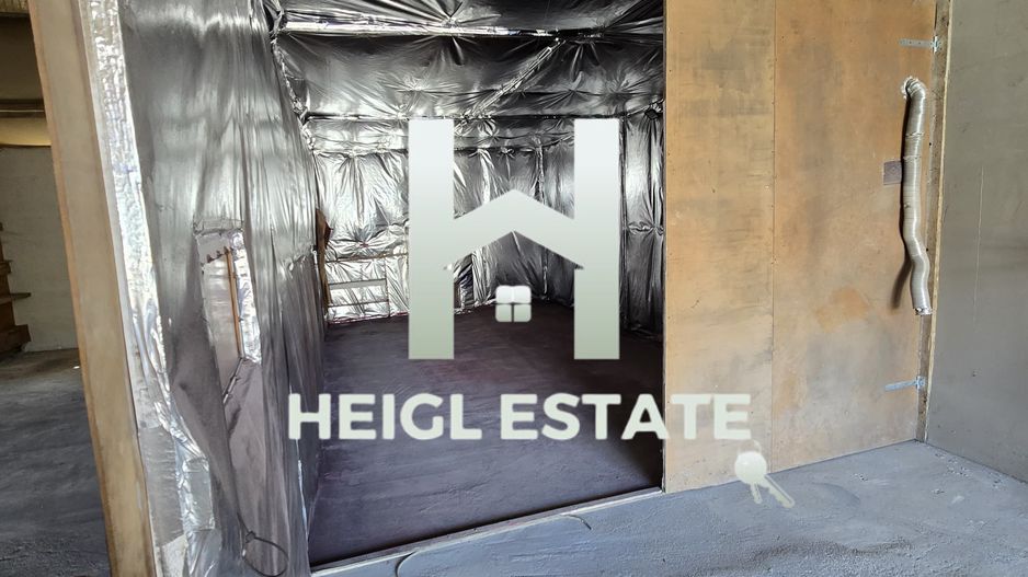 Spatiu Hala Fraidorf pretabil depozitare,vopsitorie, colantari,service - Poză 5