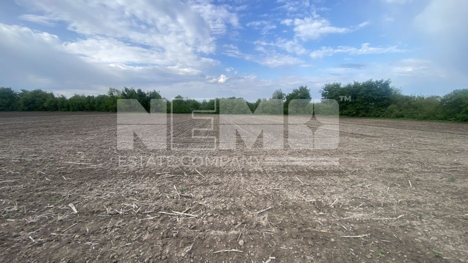 Teren Extravilan | 50 Ari | Horodnic De Jos - Poză 2