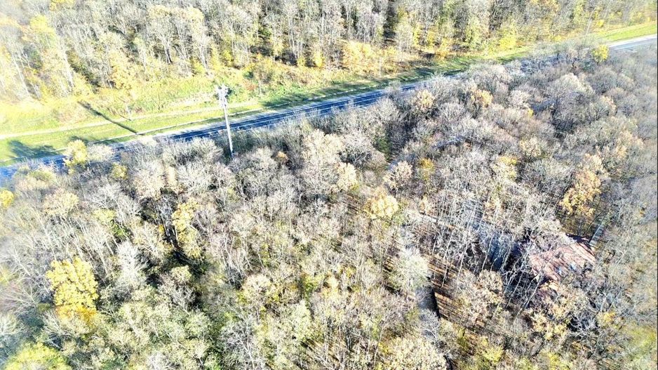 50 ari de Teren forestier si de recreere in Codri!! - Poză 3