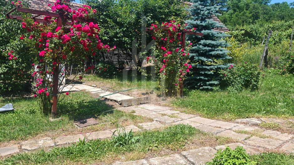 Casă săsească autentică în Bruiu (Sibiu) - Poză 13