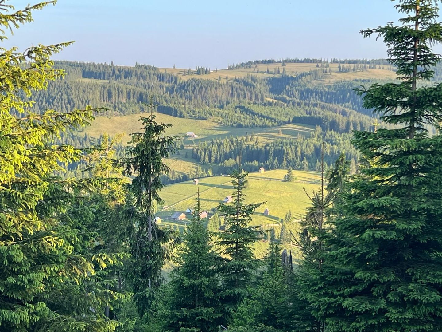 50 hectare teren | Moldova-Sulita | Potential turistic si agricol - Poză 19