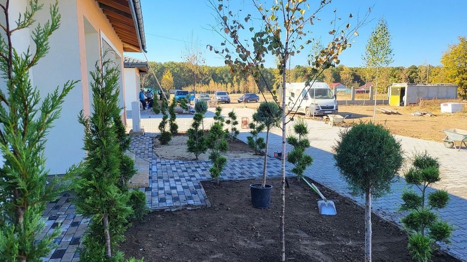 Moara Vlasiei | Padurea Branzeasca - Poză 3