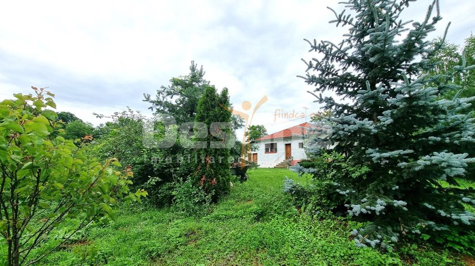 Casa din Caramida + 4000 mp teren  central Drajna Ogretin! - Poză 13