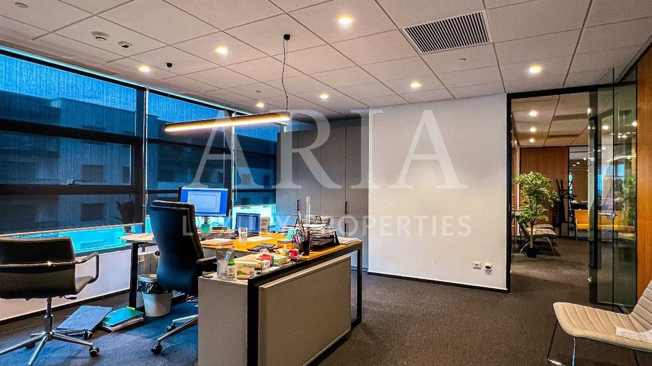 Birouri Premium PIPERA -  Hyperion Towers - Poză 6