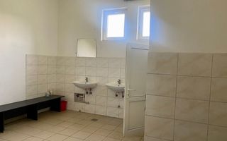 Hala de inchiriat in mun. Brad, disponibila imediat - Poză 5