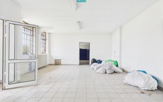 Hale 1800 mp fiecare – acces autostradă, Teiu, HD - Poză 13