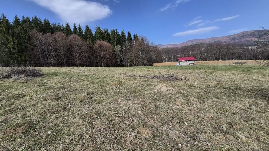 Teren intravilan la baza pădurii Valea Doftanei sat Traisteni (poduri) - Poză 10