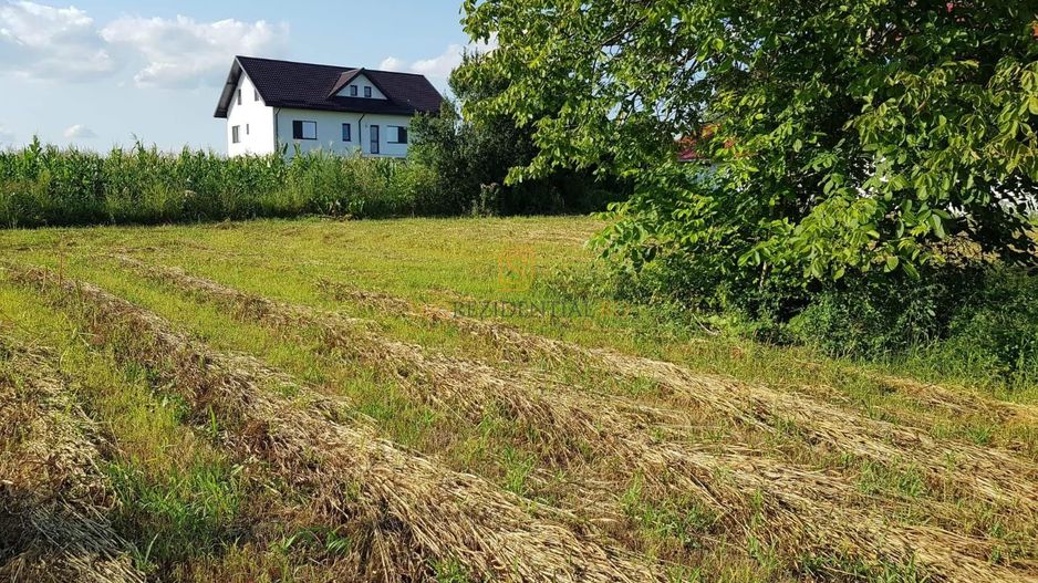 Teren intravilan – Adunatii Copaceni | 3.399 mp | Ideal investitie - Poză 2