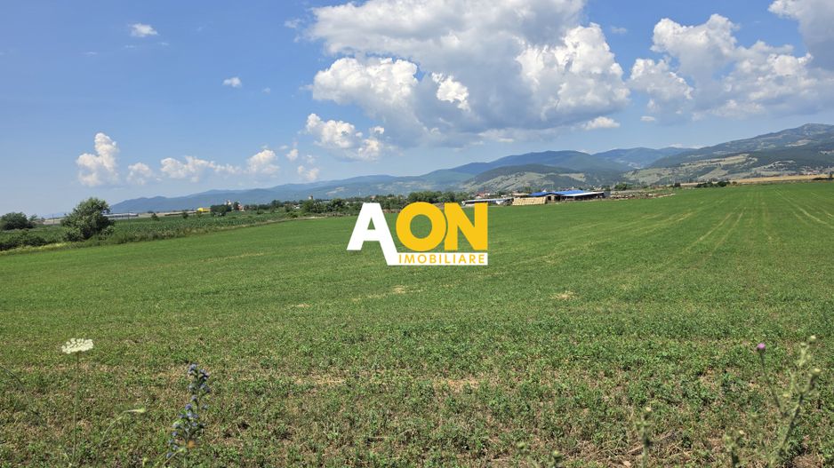 Teren intravilan industrial, 21300 mp, deschidere 77 mp, Vintu de Jos - Poză 2