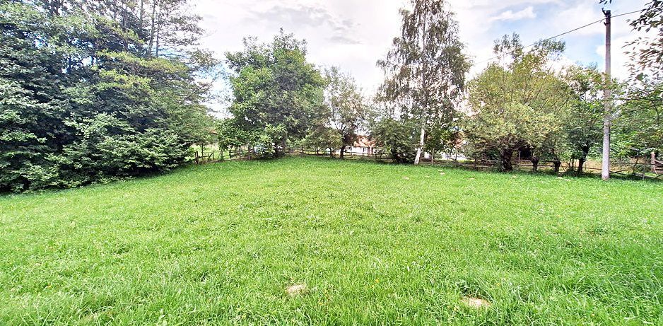 Bran Predelut teren intravilan de 2000mp, pret 27 euro/mp - Poză 15