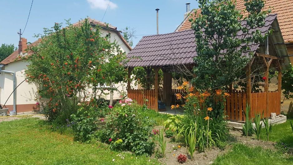 Casă cu 4 camere și teren generos de 2.370 mp – Deta, Strada 1 Mai - Poză 1