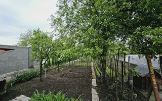 Casa individuala | 350 mp | 791 mp teren | Toate utilitatile | Cetate - Poză 11