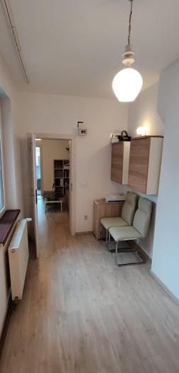 Vilă boutique / 2 apartamente independente / Mitropolie -Parcul Carol - Poză 9