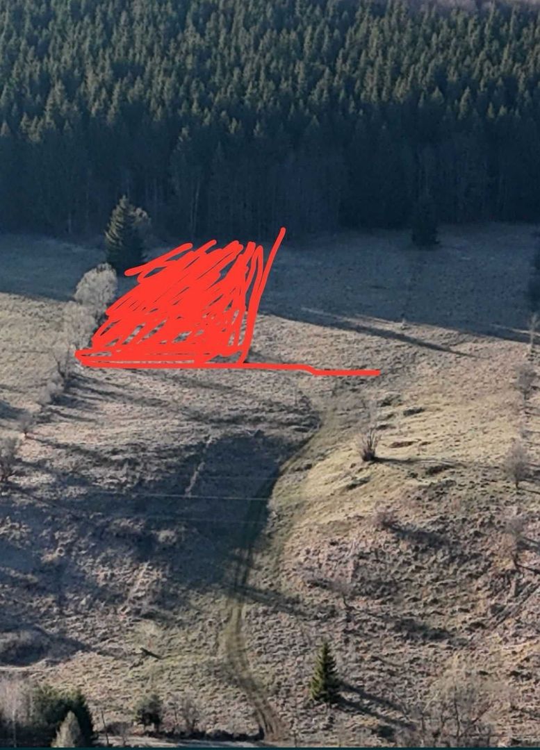 Teren intravilan la baza pădurii Valea Doftanei sat Traisteni (poduri) - Poză 8