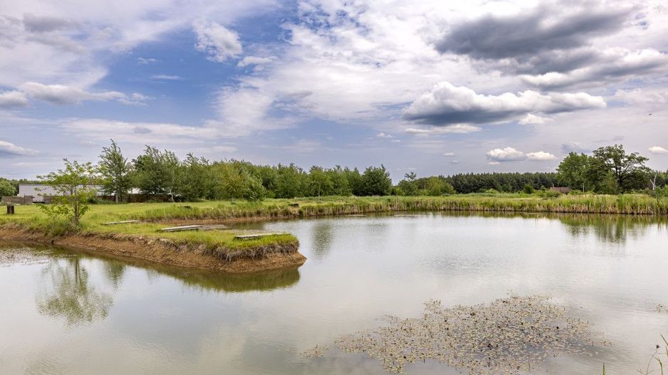 AFACERE FUNCTIONALA - MOTEL, PARCARE TIRURI, CAMPING cu piscina si lacuri - Poză 11