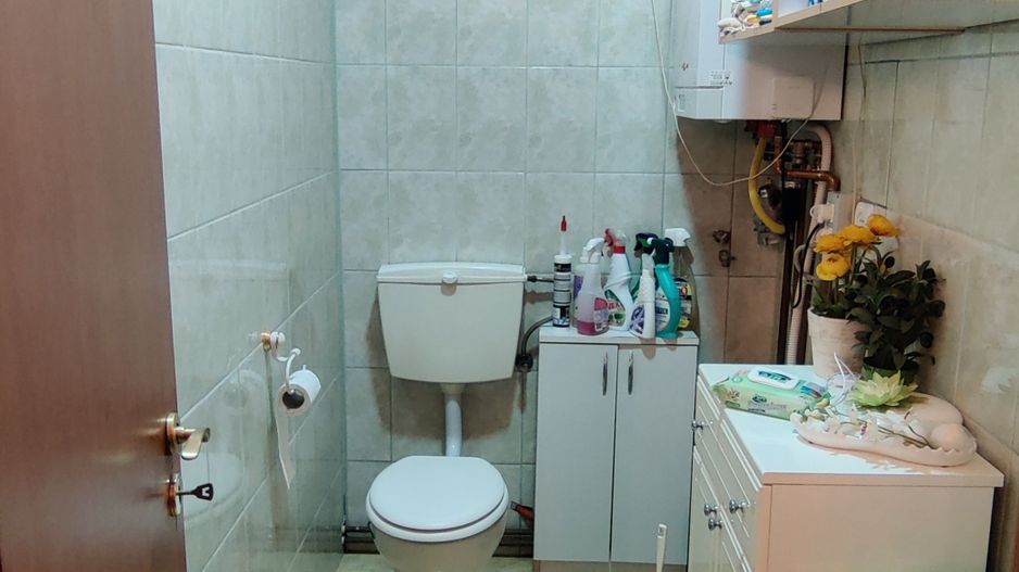 CASA INDIVIDUALA SI HALA CU TEREN  4000 MP - Poză 11