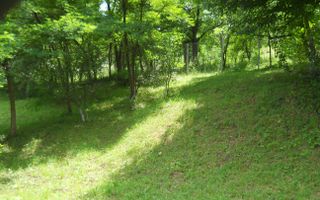 Teren Breaza de Jos, Prahova, Podu Vadului, 3750 mp (posibilitate si de 6000 mp) - Poză 5