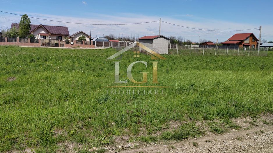 🌿 Teren de vânzare – Răcari, Str. Mestecenilor - Intrarea cu Tei - Poză 13