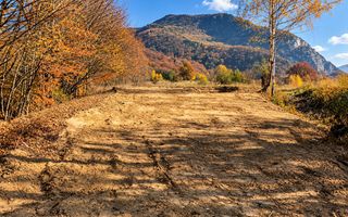 Teren de vânzare 1.300 mp în Râșnov | Proiect Glamping & Tiny Houses | - Poză 3